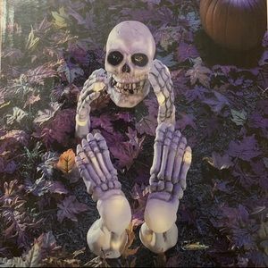 Light Up Halloween Yard Ghoul